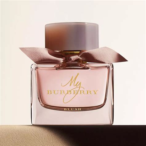 best buy burberry perfume|best burberry perfumes women's.